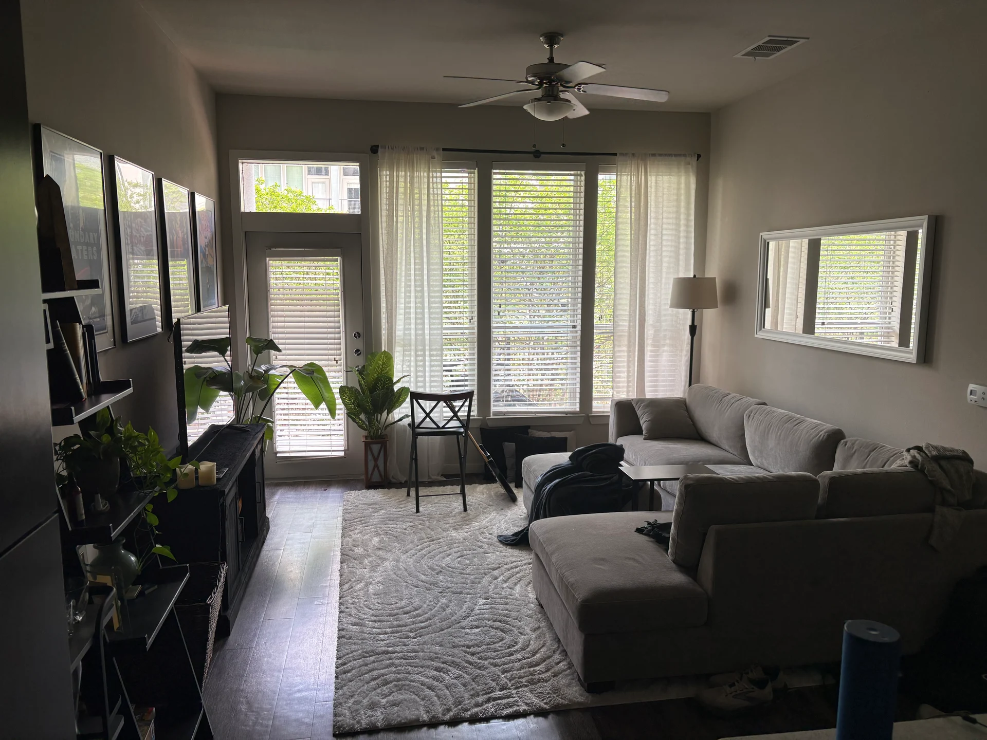 Living Room listing photo before